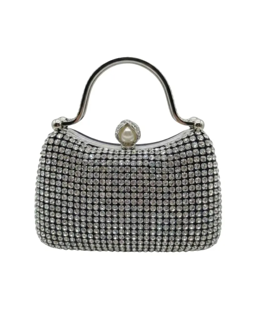 Luxury Silver-Frame Gala Bag with Shimmering Crystals.